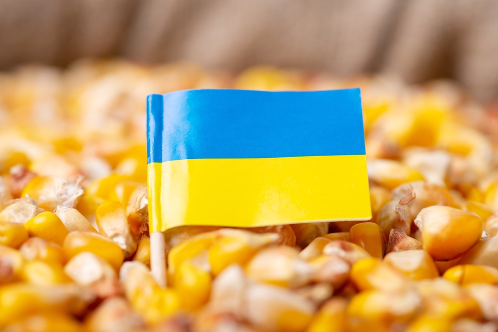 Se cer noi restricții în ceea ce privește importul unor produse agricole ucrainene. România și alte patru țări UE, nouă scrisoare către executivul european