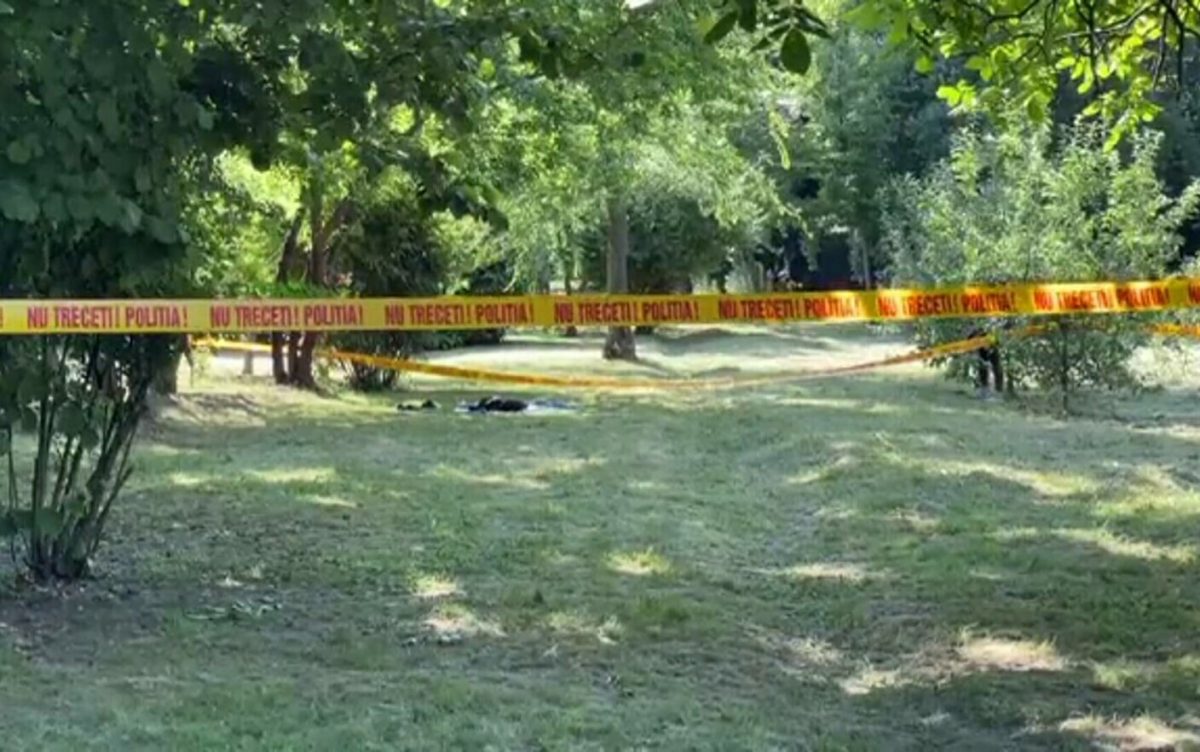 Tânărul de 19 ani care înjunghiat la Grădina Botanică s-a trezit și a reușit să spună ce s-a întâmplat