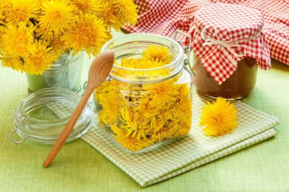 Sirop de păpădie rețetă. Sfaturi de care trebuie să ții cont în pregătirea acestuia