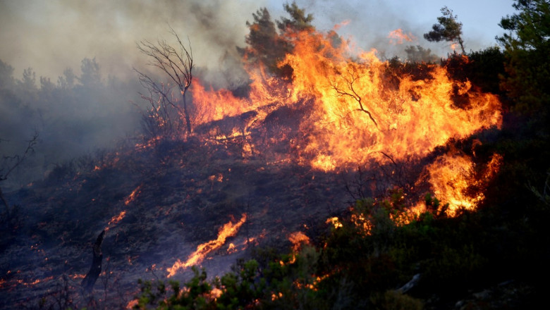 S-a aflat de ce au izbucnit, de fapt, incendiile din Grecia. Nu este din cauza căldurii extreme