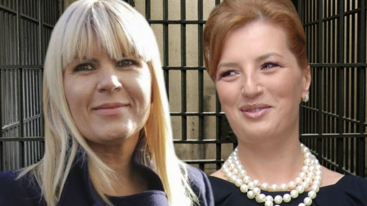 Elena Udrea şi Ioana Băsescu nu scapă de condamnările la închisoare în dosarul campaniei electorale din 2009. DNA a introdus recurs