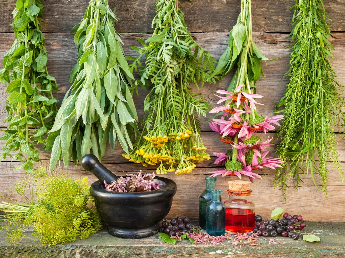 Leacuri bătrânești pentru scăderea glicemiei. 8 plante medicinale cu efecte uimitoare!