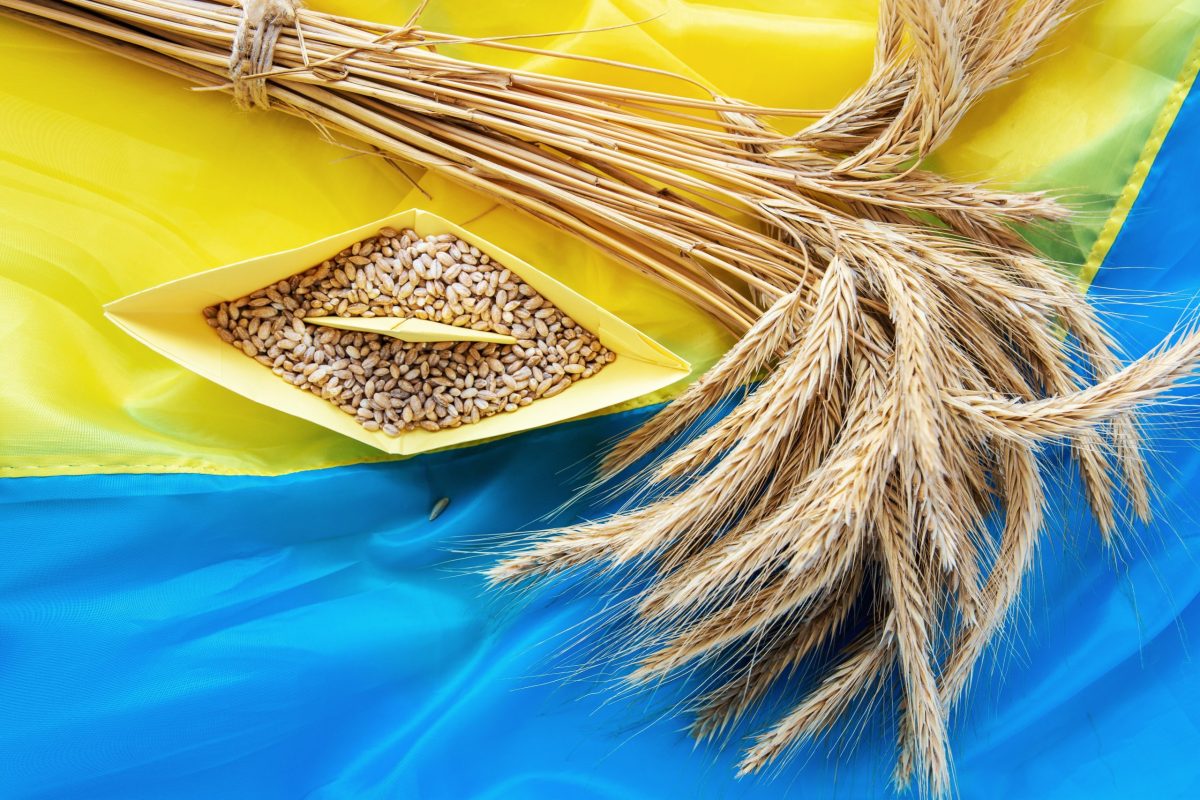 Schimbare de ultimă oră: Bulgaria a decis să nu mai interzică importul de cereale ucrainene