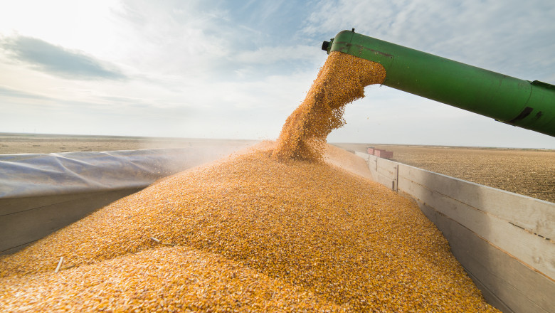 Polonia anunță că interdicția cerealelor ucrainene va continua