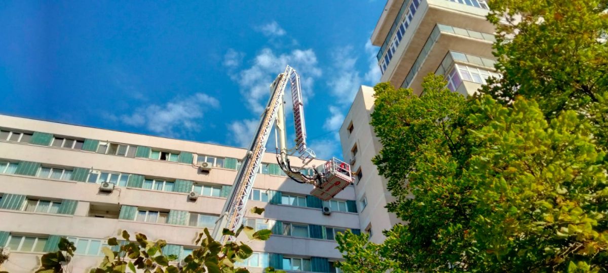 Un cuib de viespi a fost înlăturat de pompierii ieşeni – FOTO