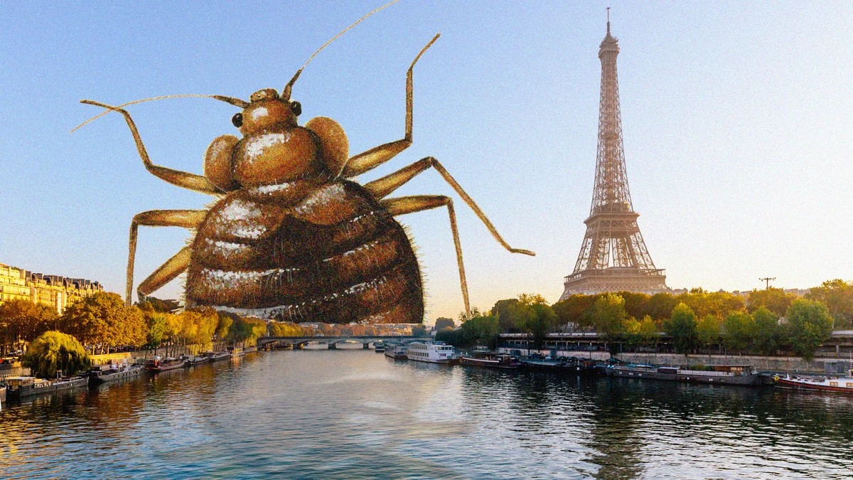 Guvernul de la Paris caută o soluție la problema ploșnițelor