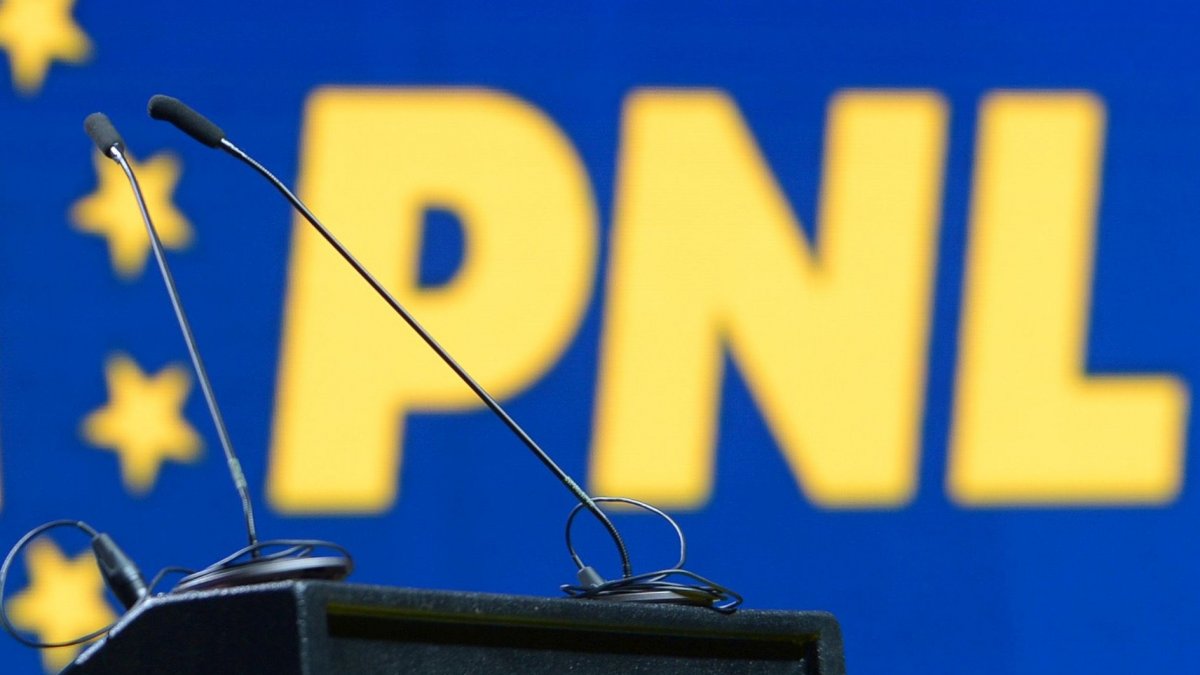 Subprefectul de Olt Ana Maria Ciaușu a demisionat din PNL