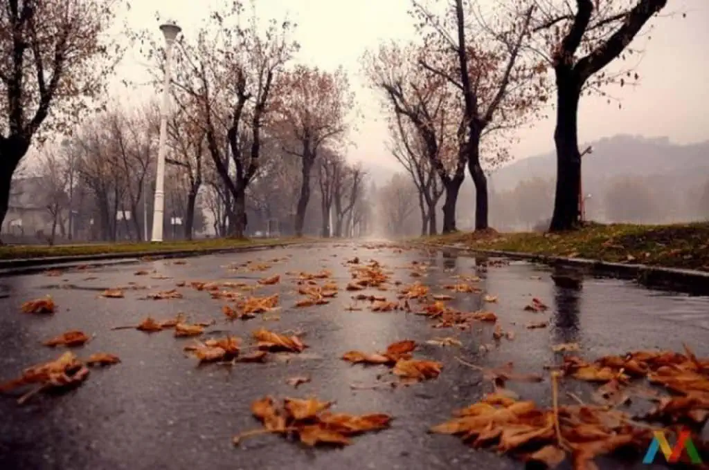 Meteorologii anunță ploi abundente și vânt puternic în cea mai mare parte a țării. Care sunt zonele afectate