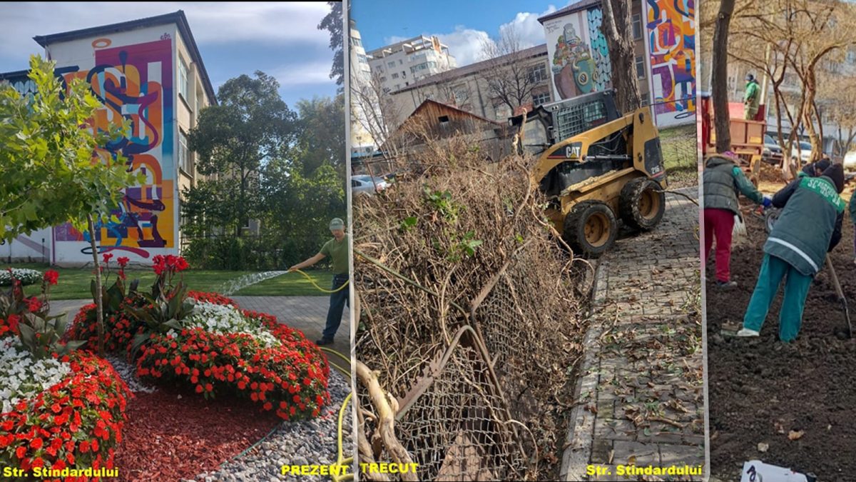 Decizie de ultimă oră! Dispar toate gardurile vii din municipiul Iași. Ce va apărea în locul acestora a fost stabilit deja de municipalitate – FOTO