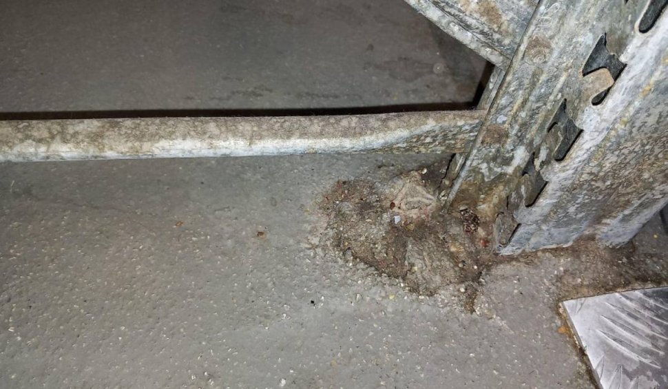 Șeful Autorității Naționale pentru Protecția Consumatorilor (ANPC) a vorbit despre dezastrul găsit într-un cunoscut lanț de magazine din România: „Este deja prea mult” – FOTO