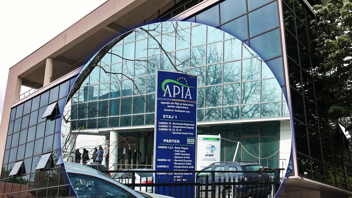 Din luna martie începe plata ajutoarelor naționale tranzitorii. Fermierii din Iași primesc banii pentru terenurile agricole și animalele din gospodării