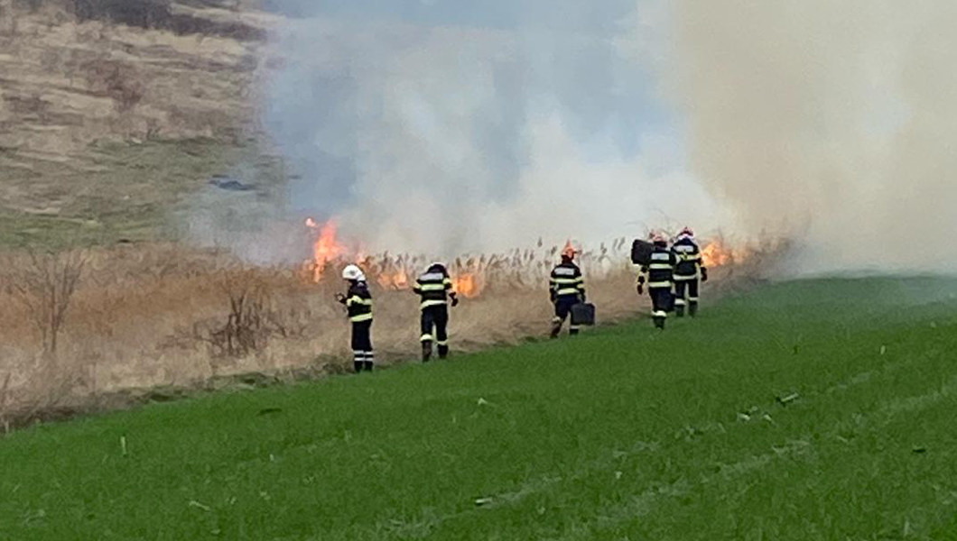 Incendiu de vegetația uscată într-o importantă localitate din Iași. Pompierii au intervenit – FOTO, VIDEO