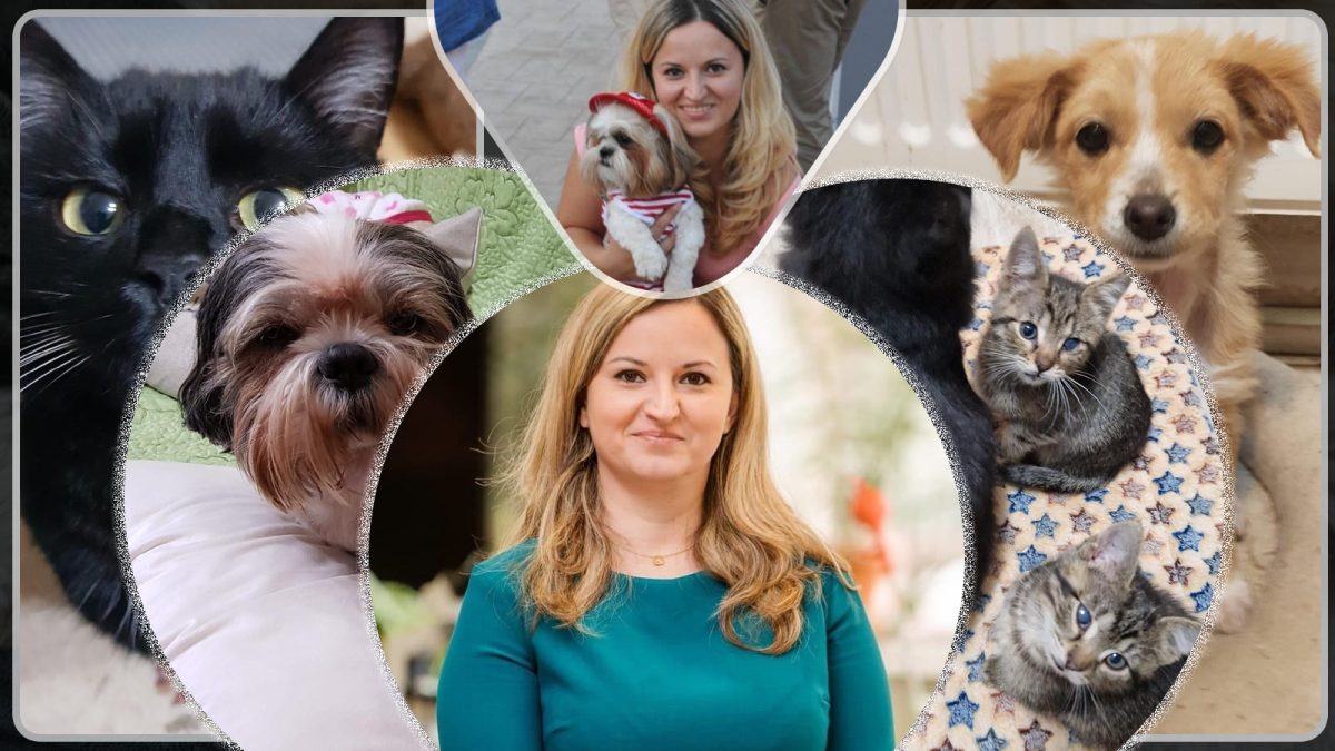 Acest profesor de la USV Iași este un exemplu demn de urmat! Are peste 20 de animale de companie salvate de-a lungul anilor: „Ele sunt antidepresivul meu natural într-o lume care ușor și sigur o cam ia razna” – GALERIE FOTO/VIDEO