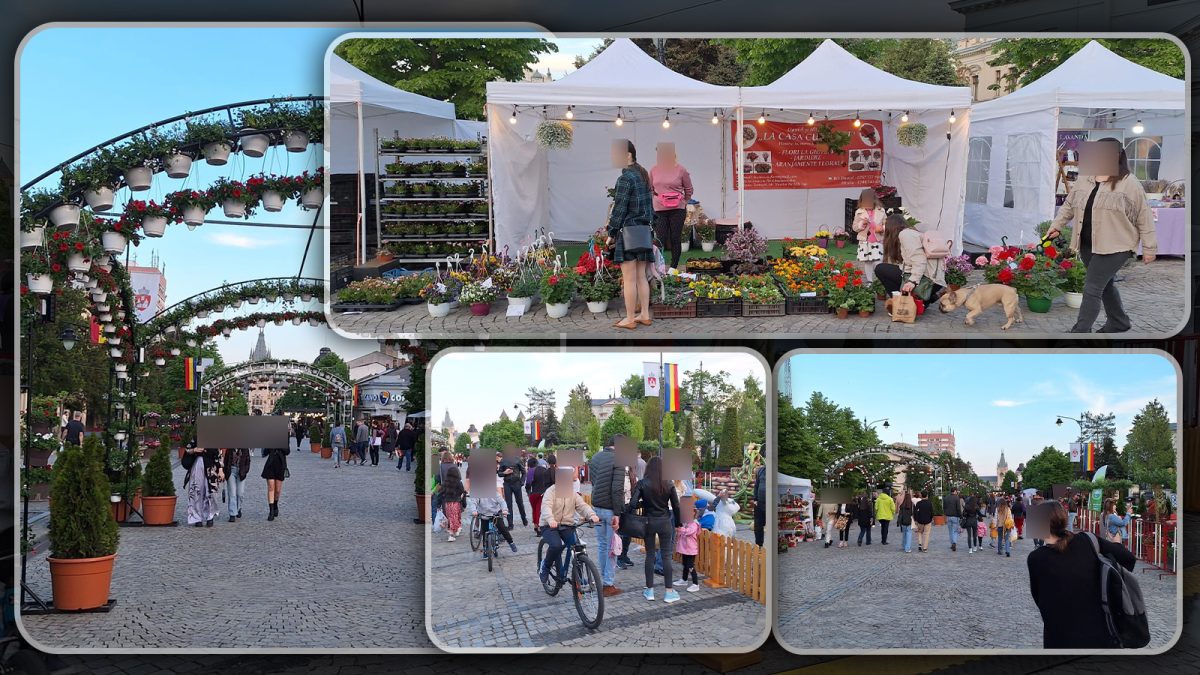Ieșenii s-au călcat în picioare pentru bujorii galbeni de la Târgul Floralis din acest an. Prețurile pentru un fir începeau de la 40 de lei – FOTO