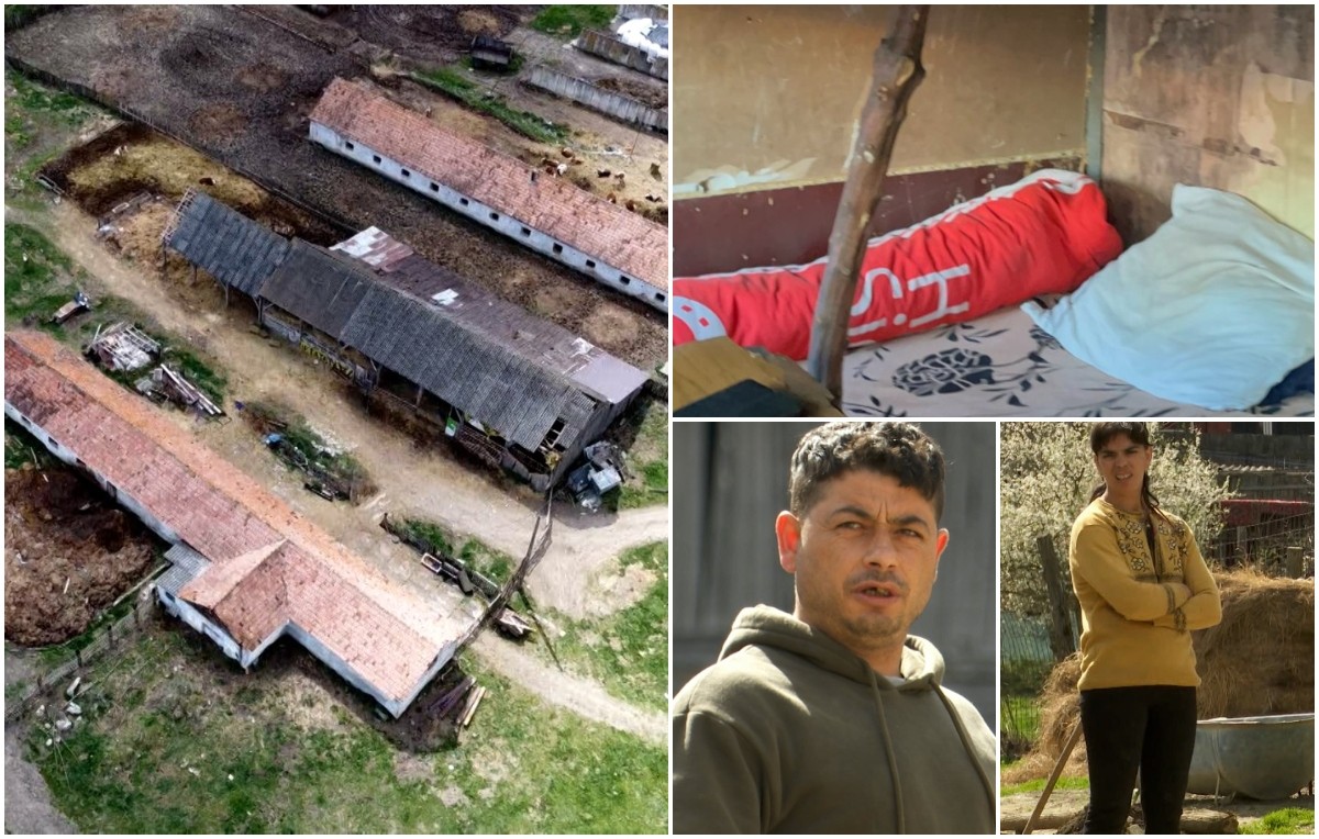 Polițiștii au reținut un viceprimar în cazul copilului de 12 ani ținut în sclavie la o stână din Brașov