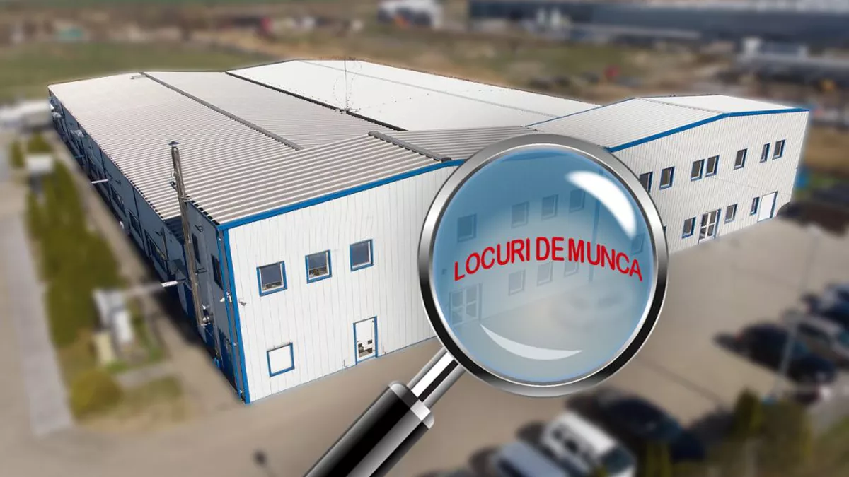 Vești bune pentru români! Apar peste 100.000 de locuri de muncă noi! Iată ce trebuie să faci