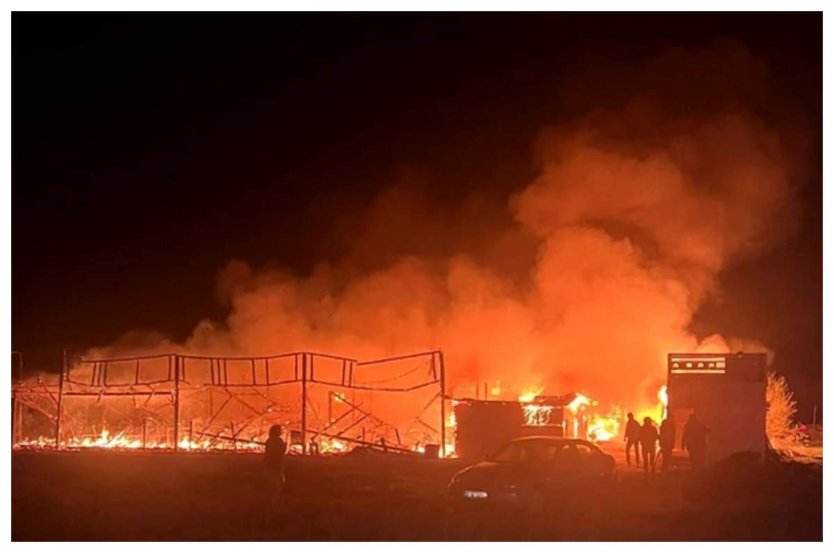 Incendiu de proporții pe o plaja din Corbu. Flăcările s-au extins pe 1000 de mp