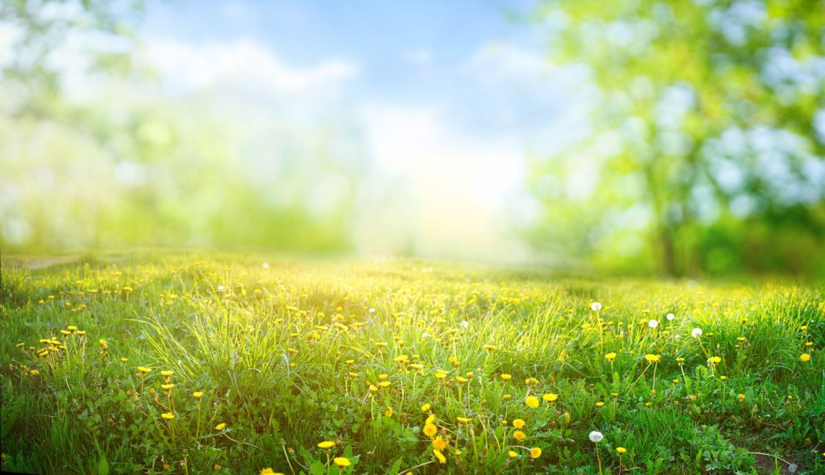 Ce temperaturi se vor înregistra de Florii, de 1 Mai și de Paște în 2024. Vremea ne va lua prin surprindere în mai multe zone ale țării!