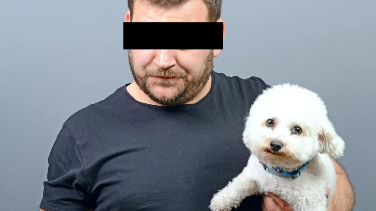 Scandal monstru, în Podu Roș! Un ieșean ieșit cu un Bichon la plimbare a fost snopit în bătaie și a rămas fără câine. Doi indivizi amețiți de alcool au plecat cu pufosul alb sub braț – EXCLUSIV/FOTO