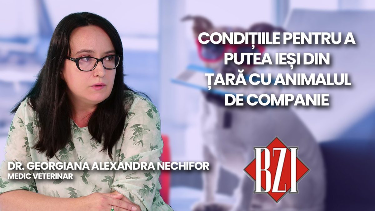 LIVE VIDEO – Dr. Georgiana Alexandra Nechifor, medic veterinar discută în emisiunea BZI LIVE despre condițiile pentru a călători cu animalele de companie