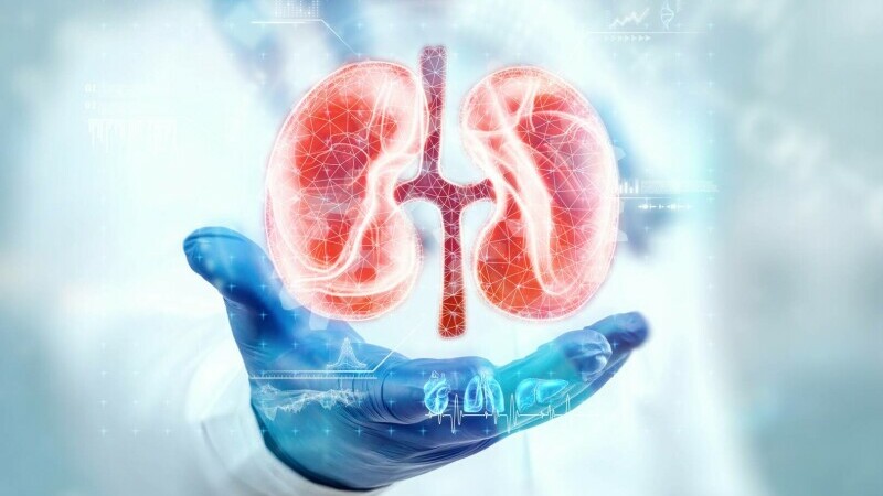 Rezultate promițătoare! Un medicament pentru slăbit poate trata boala cronică de rinichi