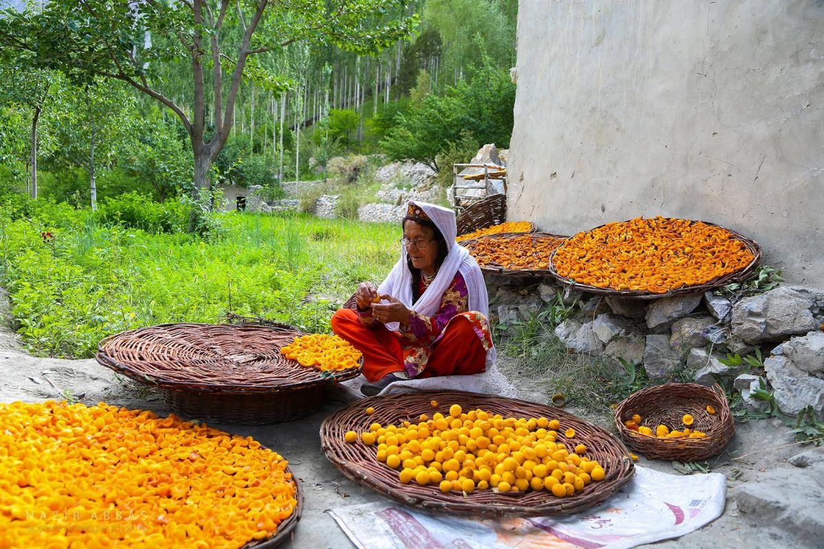 Supă de caise deshidratate. Secretul „tinereții fără bătrânețe” al oamenilor din Hunza