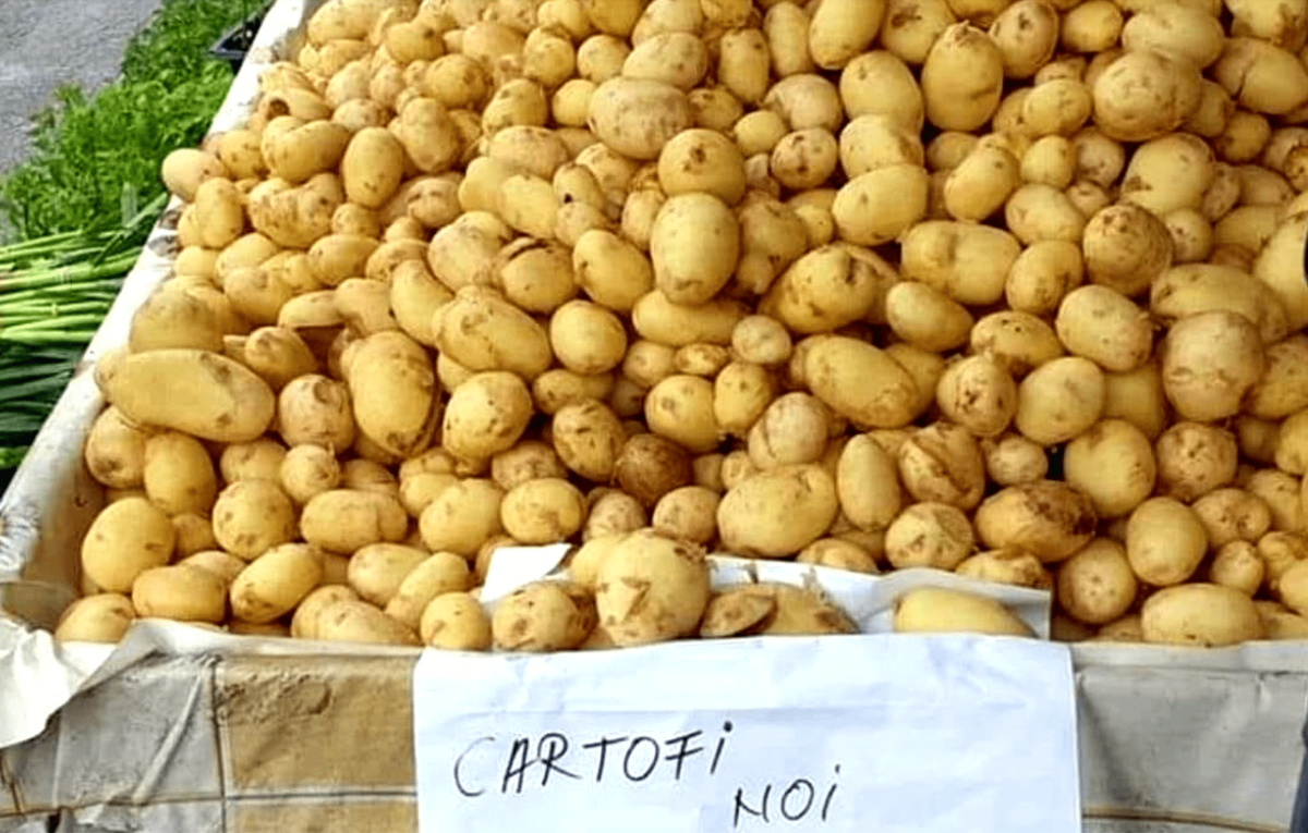 Cartofii noi, vânduți la un preț uriaș! Cât a ajuns să coste „leguma săracului“