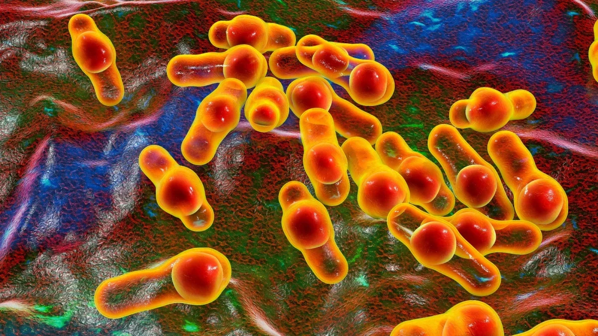 A scăpat cineva de infecția cu Clostridium Difficile? Află totul despre acest tip de infecție