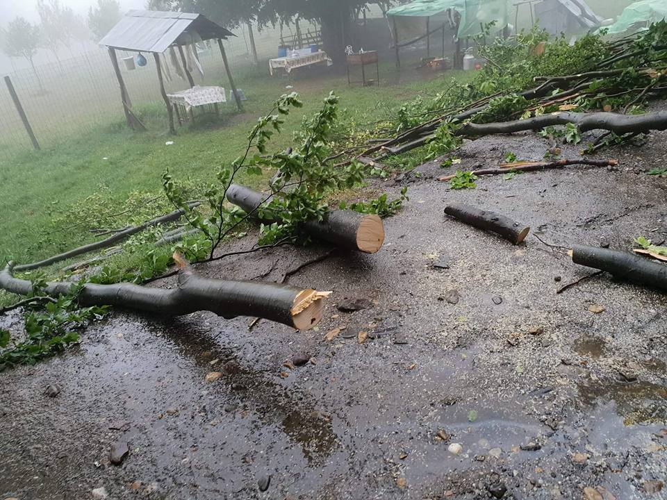 Ploaia a făcut ravagii la Iași! Pompierii au lucrat la foc continuu: inundații și copaci căzuți pe carosabil