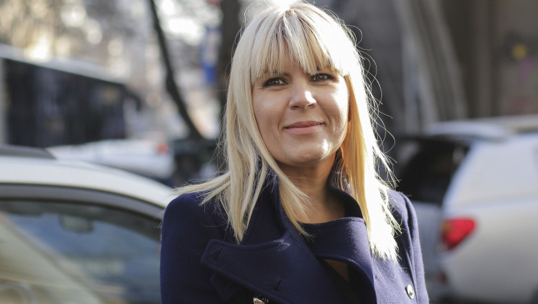 Terenurile Elenei Udrea au fost licitate la jumătate de preț. ANAF încearcă să recupereze prejudiciul din dosarul Gala Bute