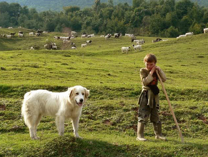 În cinci localităţi, elevii au intrat deja în vacanţă! Motivul este halucinant!