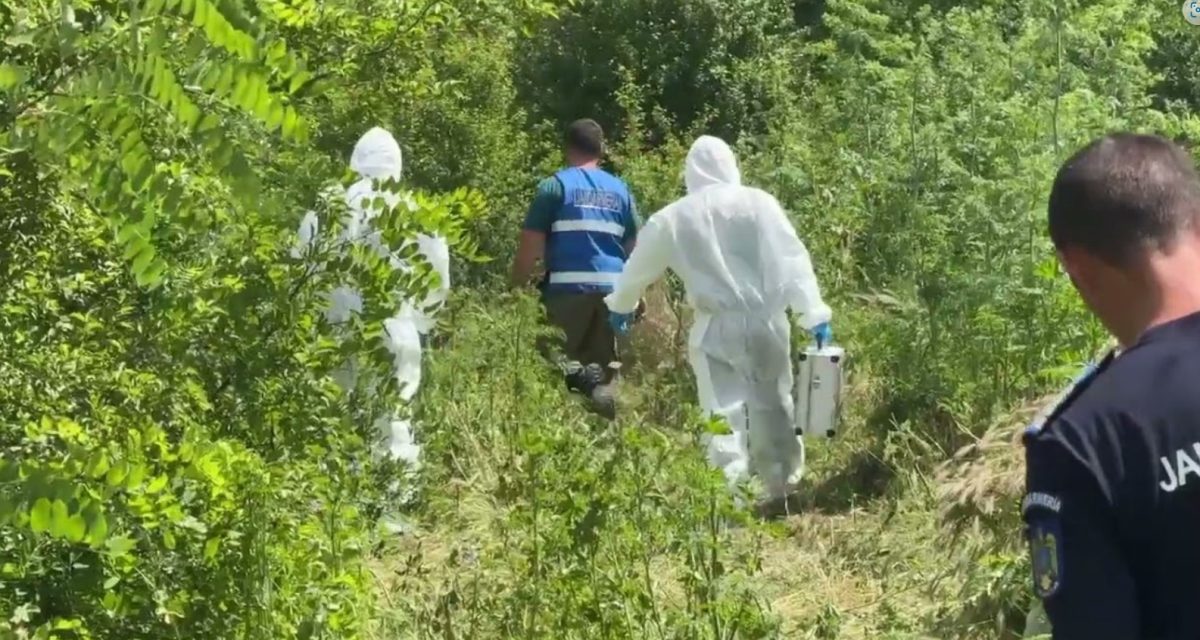 Apar noi detalii din cazul Raisei, fetița de doi ani și jumătate din Dolj, găsită moartă pe câmp