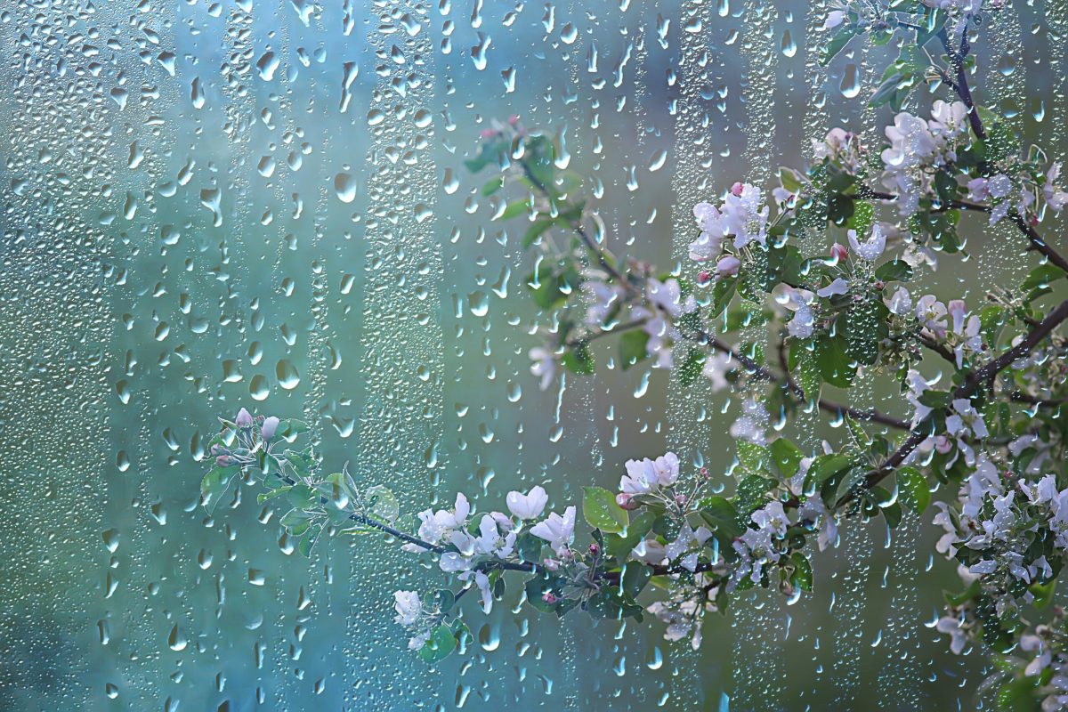 Ploile și frigul revin în România. Meteorologii anunță zonele vizate de schimbările bruște ale vremii