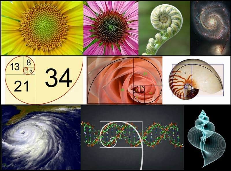 Geometria sacră. Calea către înțelegerea profundă a universului