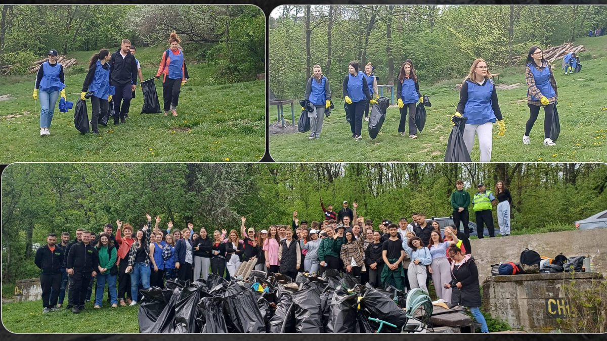 Ieșenii aruncă mormane de gunoaie prin pădurile din municipiul Iași. Angajații de la Salubris au găsit diverse deșeuri prin astfel de zone – FOTO