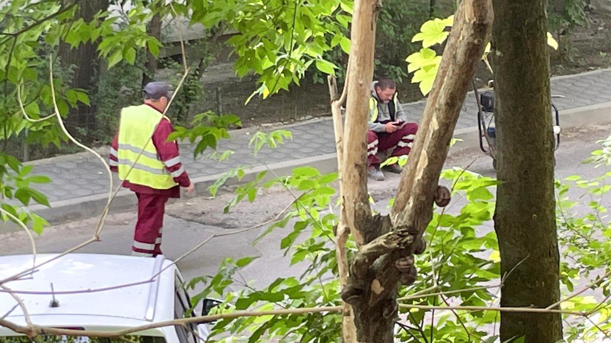 Haos pe o stradă din Iași. Localnicii s-au trezit blocați din cauza muncitorilor de la primărie: „Unul era pe telefon, doi stăteau de vorbă și altul dădea cu mătura” – FOTO/VIDEO