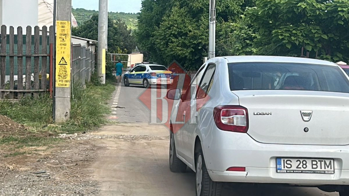 Mama bărbatului împușcat la Iași de politiști este de negăsit. Agenții au fost atacați cu un topor când au întrebat de ea – UPDATE