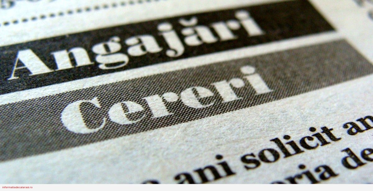 Jobul din România care este plătit cu 3000 de euro dar nu se găsesc muncitori! Patronii sunt disperați