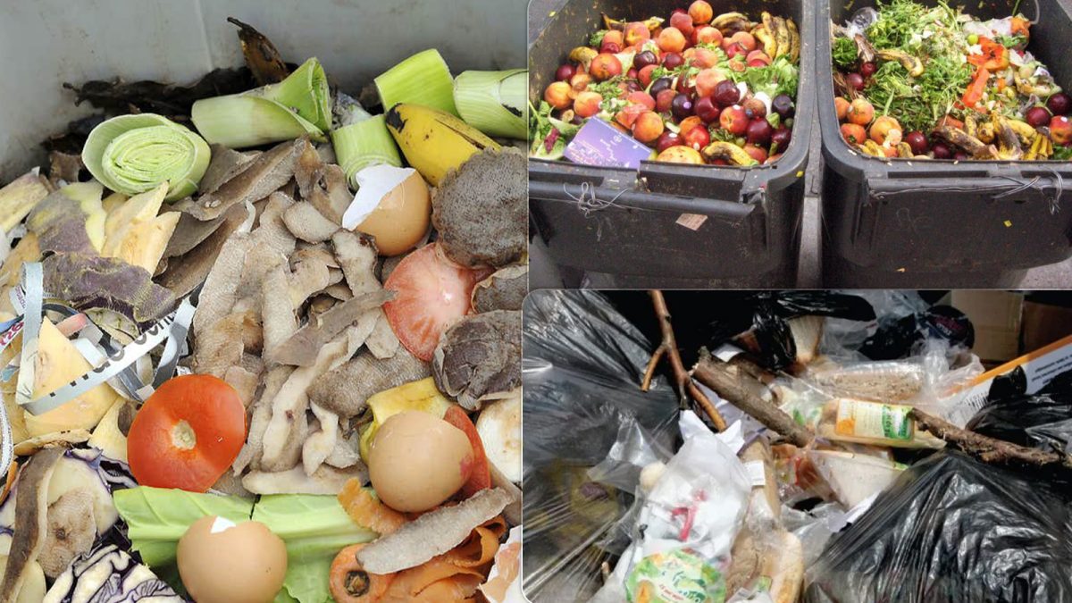 Ieșenii au aruncat tone de mâncare la gunoi de sărbătorile pascale. Risipa alimentară rămâne o problemă uriașă la Iași – FOTO