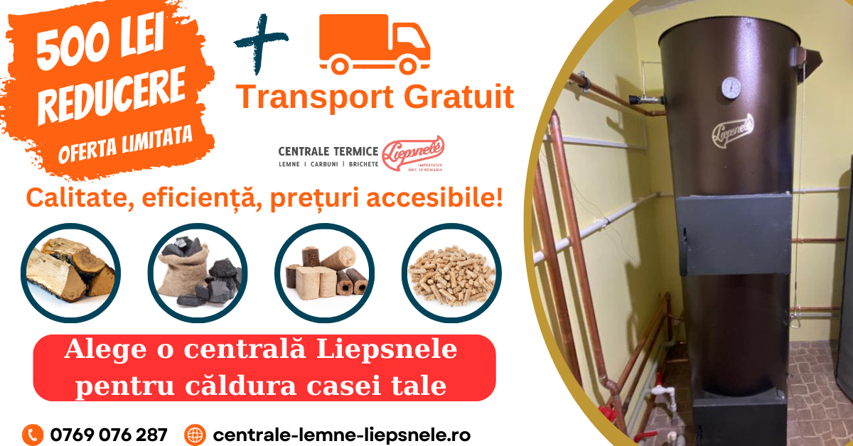 De ce nu renunță românii la încălzirea cu lemn de foc?