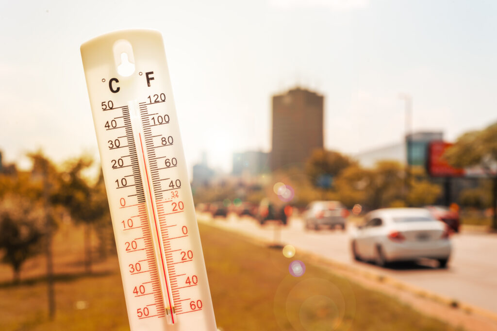 Elena Mateescu, directorul ANM, a explicat cum va evolua prognoza meteo în perioada următoare
