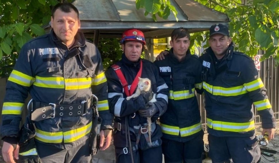 Un motan a fost salvat de către pompieri, după ce a căzut într-o fântână adâncă de 10 metri, în Botoșani. Animalul dispăruse de acasă de o lună