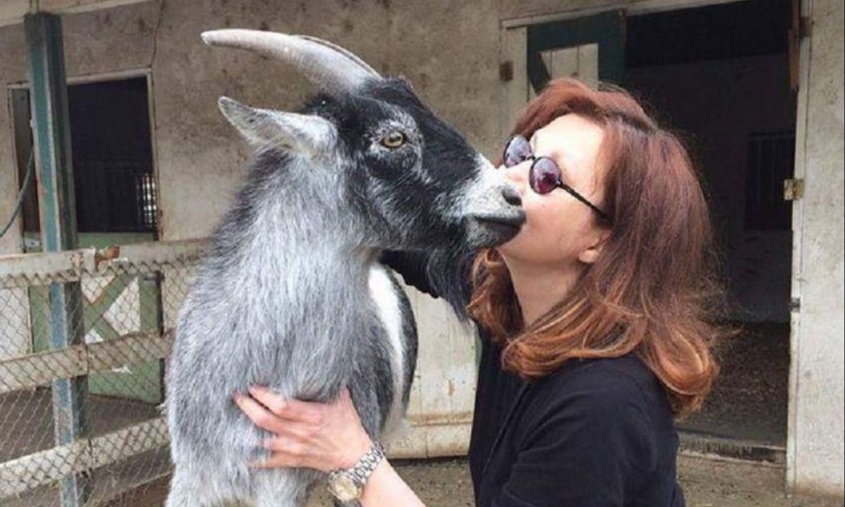 Pamela din Dallas era o divă și toată lumea o iubea. Acum abia mai poate fi recunoscută