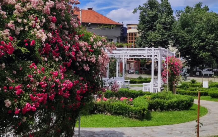 Orașul din România în care se află cea mai frumoasă stradă din Europa! Iată de ce