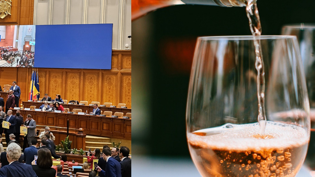 Parlamentarii muncesc pe brânci. Top idei „geniale” ale aleșilor români