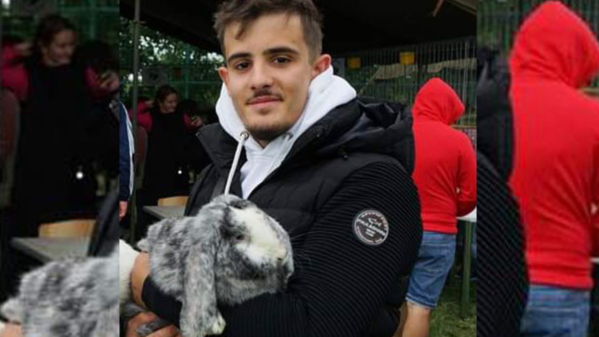 Un student de la USV Iași „colecționează” iepuri de rasă. Are peste 40 de exemplare răspândite în toată lumea – GALERIE FOTO