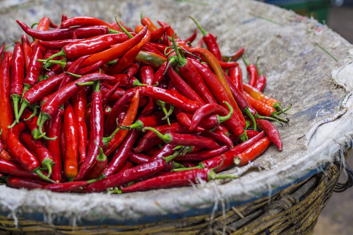 Eficiența plasturilor cu ardei iute în neuropatia diabetică. Ce efecte are capsaicina, potrivit studiilor