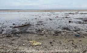 Este alertă pe litoral! Nivel de poluare extrem de mare după deschiderea sezonului estival