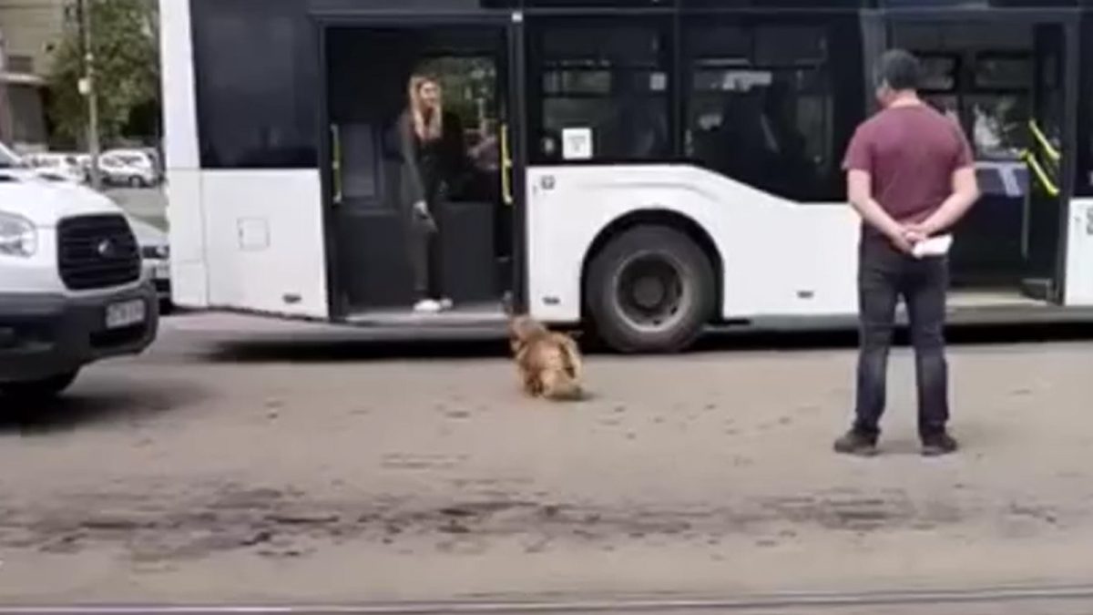 Gândește-te bine înainte de a alunga un animal. Blonda care a lovit cu poșeta un câine s-a ales cu dosar penal. Ar putea fi condamnată pentru „rănire cu intenție” – FOTO/VIDEO
