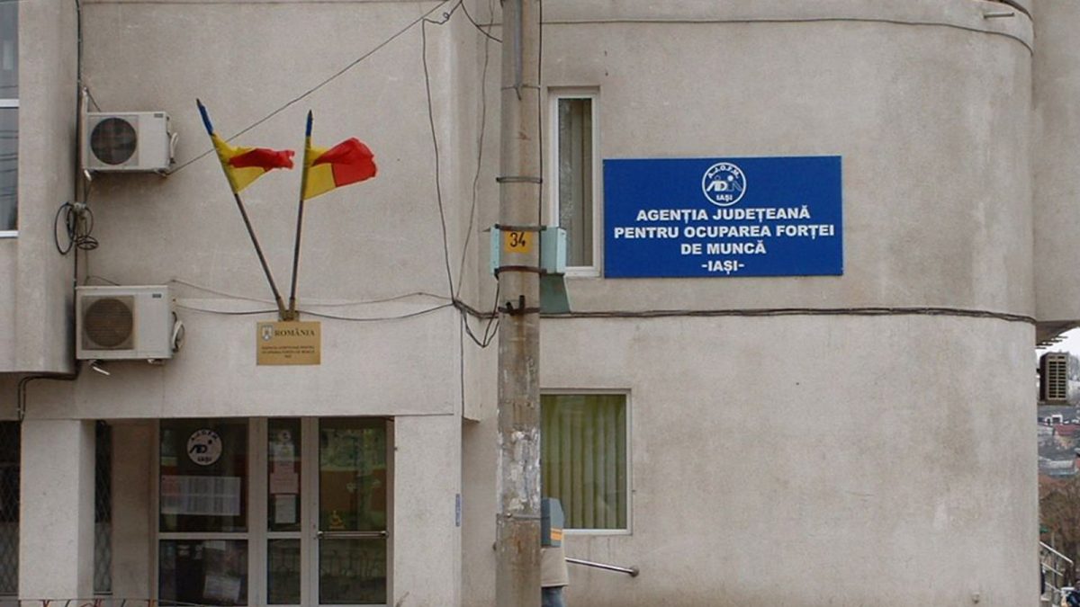 Ce locuri de muncă sunt disponibile, în Iași, pentru persoanele cu studii superioare? Angajatorii au postat mai multe oferte